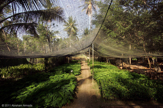 Friends of the National Parks Foundation Wildlife & Conservation Centre