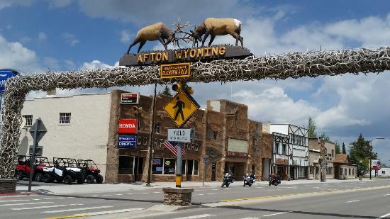 World's Largest Elkhorn Arch