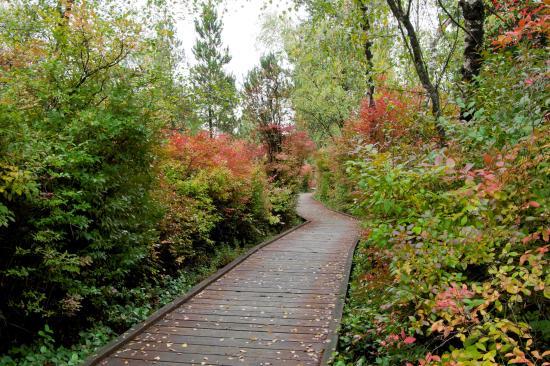 Richmond Nature Park