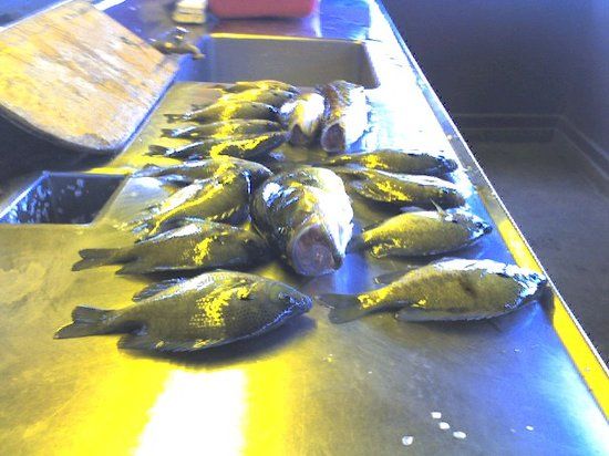 Lake Carlos State Park WPA