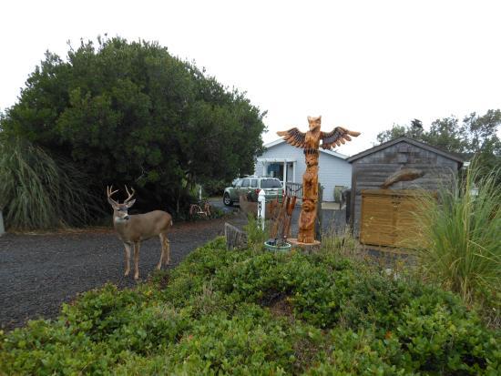 Ocean City Market Place