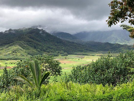 Hanalei National Wildlife Refuge