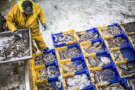 Le Belvedere de la Criee du Grau d'Agde