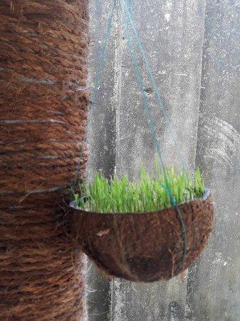 Windy Coffee & Restaurant