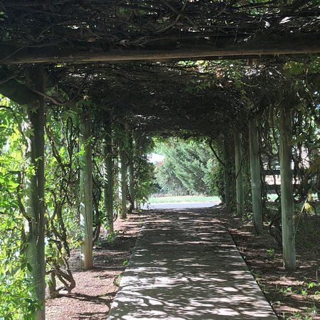 Barooga Botanical Gardens