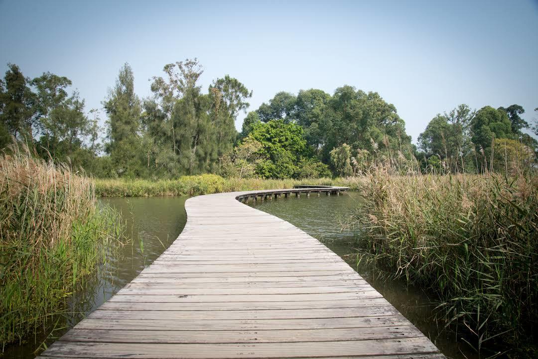 Hong Kong Wetland Park