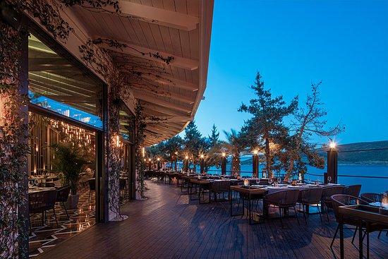 Amante Di Mare Fish & Sea Food