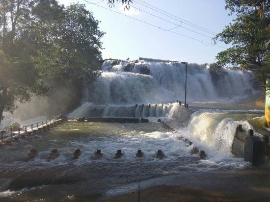 Tirparappu Waterfalls