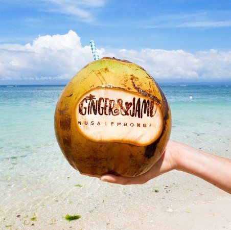 Ginger & Jamu