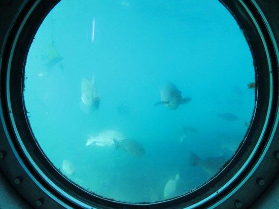 Shirahama Kaichu Observatory Deck