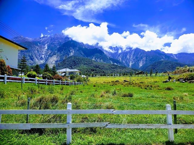 Desa Cattle Dairy Farm