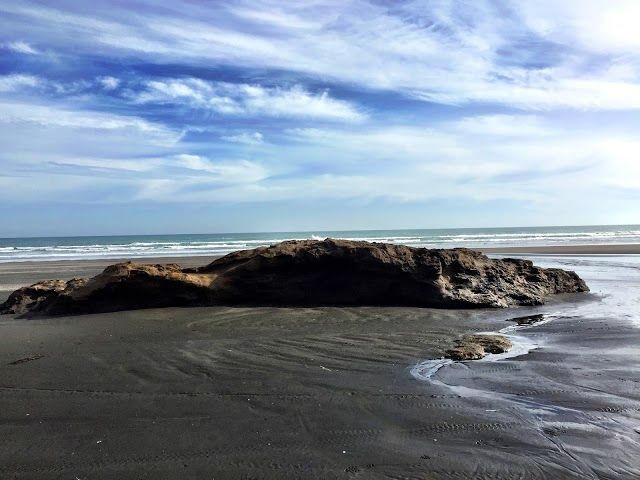 Karioitahi Beach