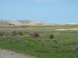 Verdronken Zwarte Polder