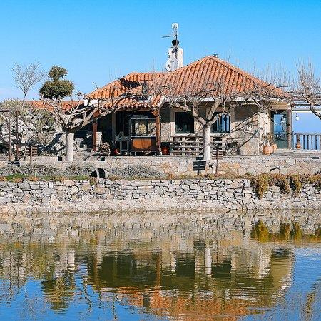 Delina Restaurant Anogia