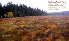 Bohlenstieg Torfhausmoor mit Brockenblick