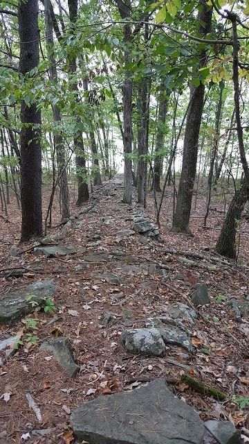 Shuman Point Hiking Trail