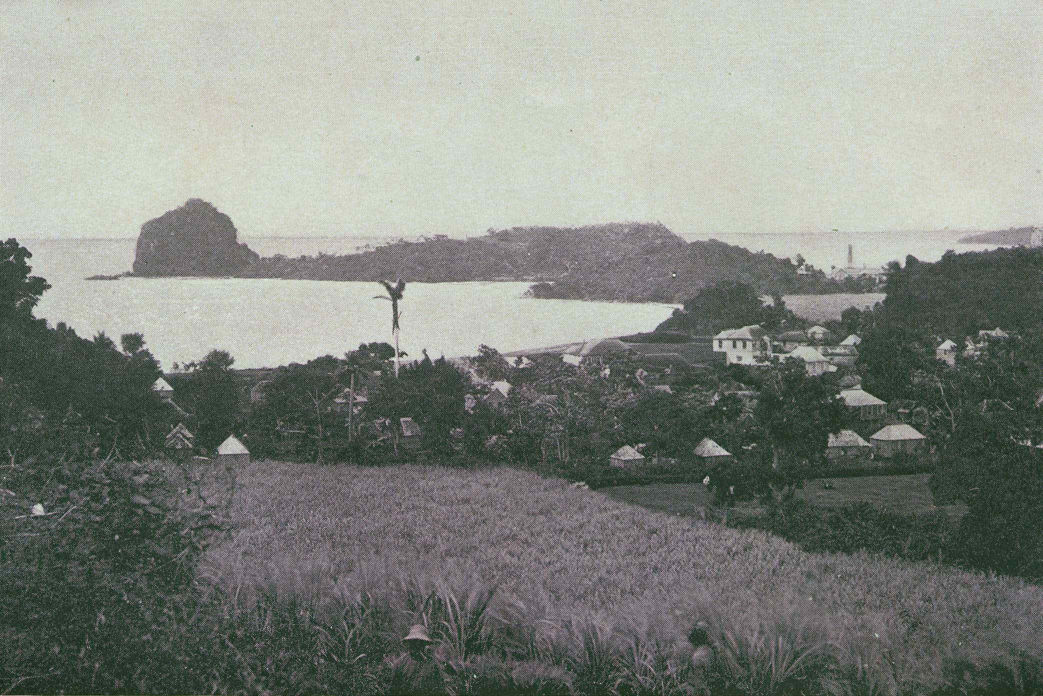 Young Island