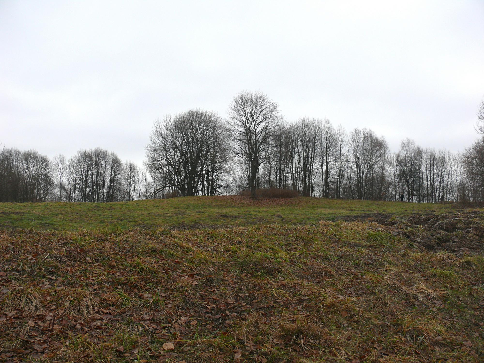 Brazuoles piliakalnis