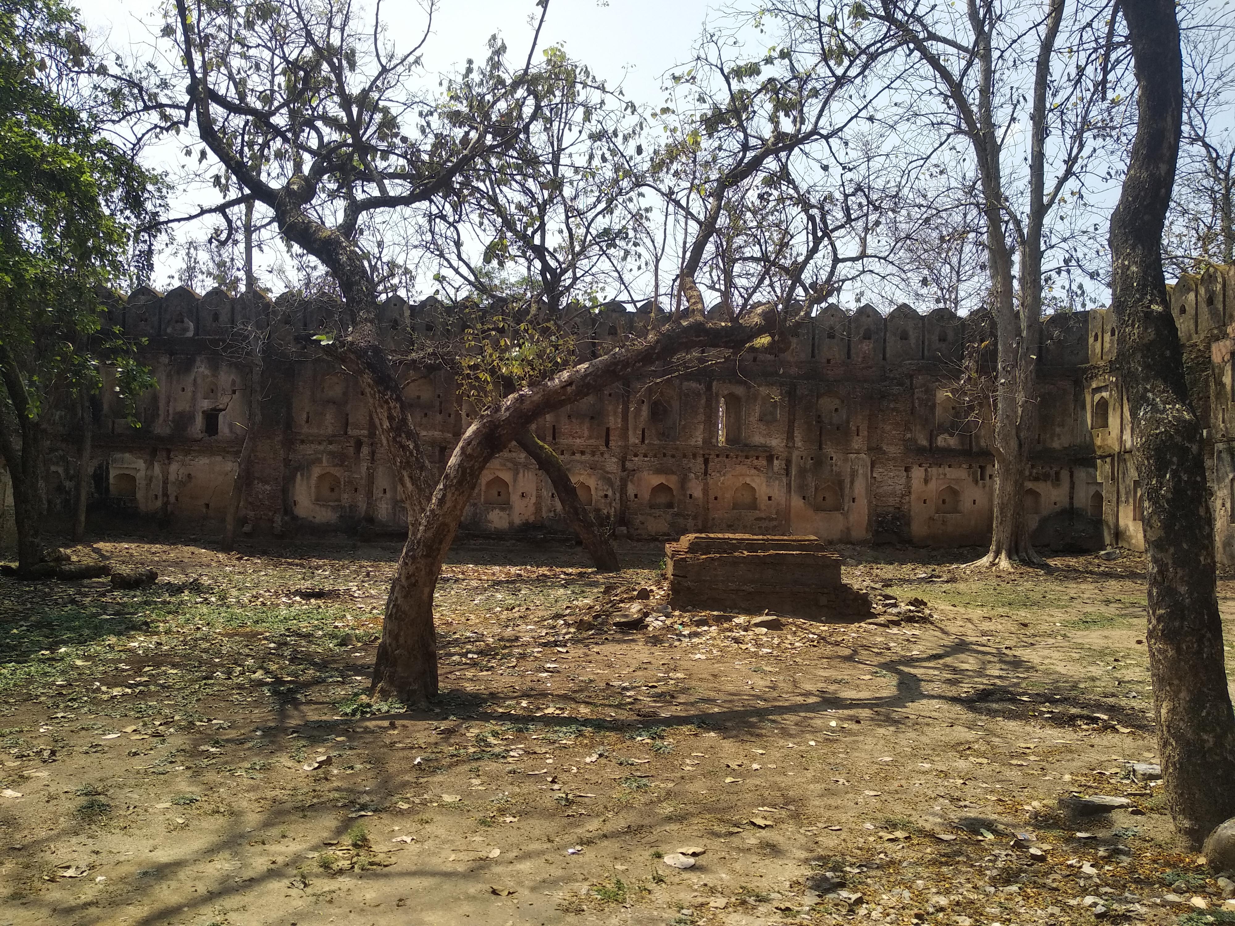 Dongartal Fort