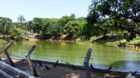 Grove Guarantas
