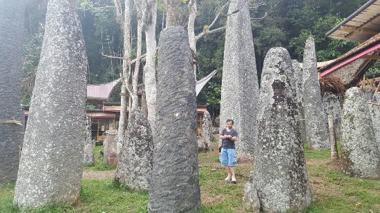 Tana Toraja Tours