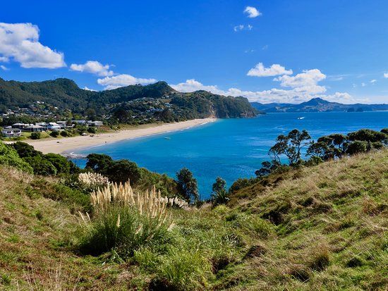 Te Pare Historic Reserve