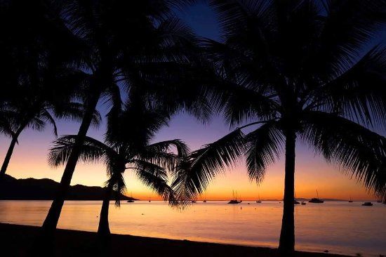 Noodies on the Beach