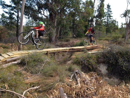 The Piggery Mountain Bike Trail
