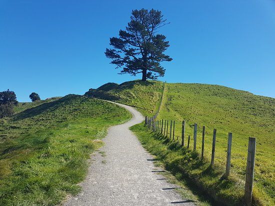 Papamoa Hills Cultural Heritage Regional Park