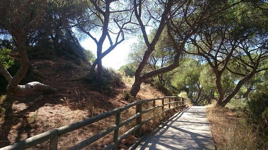 Enebrales de Punta Umbria