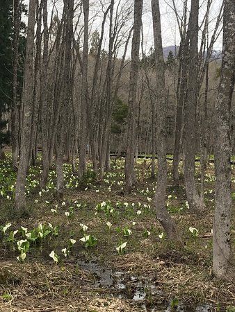 Ochiraku Shizen Park