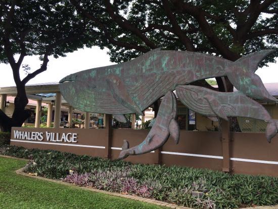 Whalers Village Museum