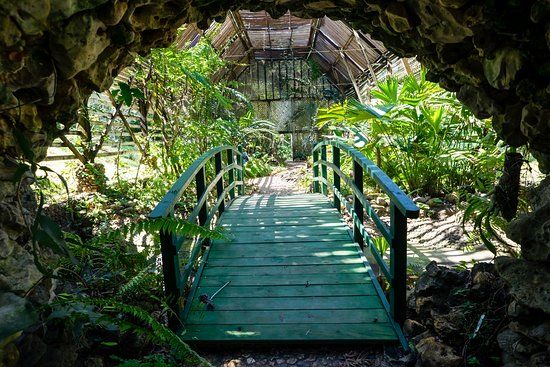 Belize Botanic Gardens