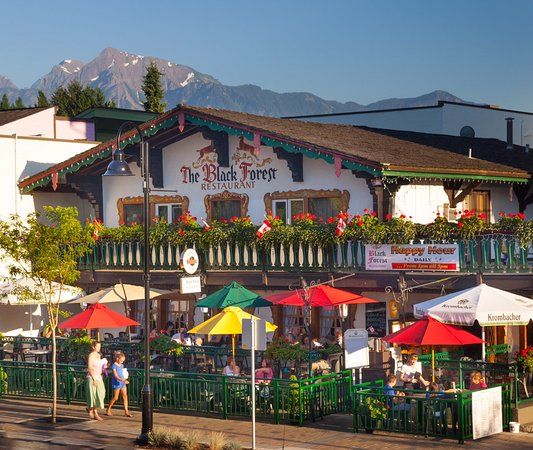 Black Forest Steak & Schnitzel