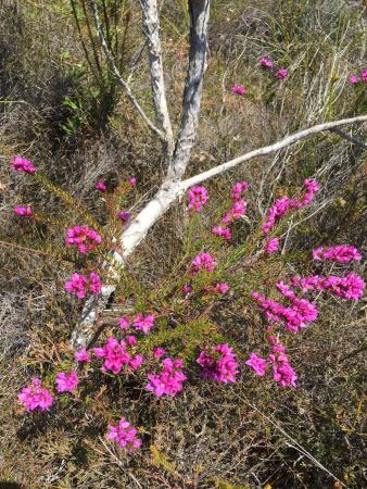Cooloola Recreation Area