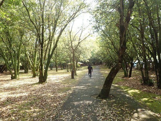 Awakigaharashinrin Park