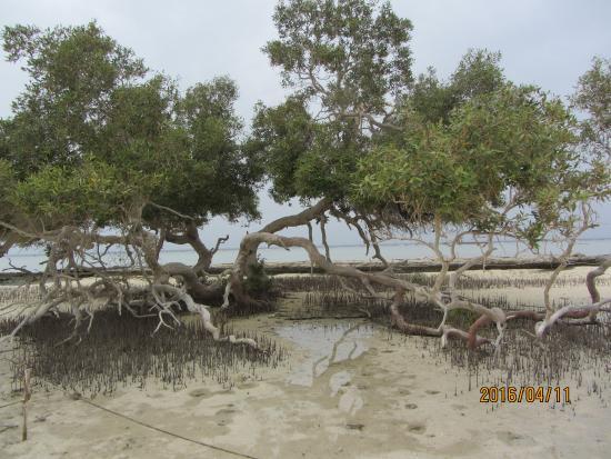 E-Motion International