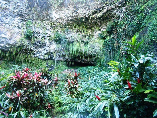 Fern Grotto