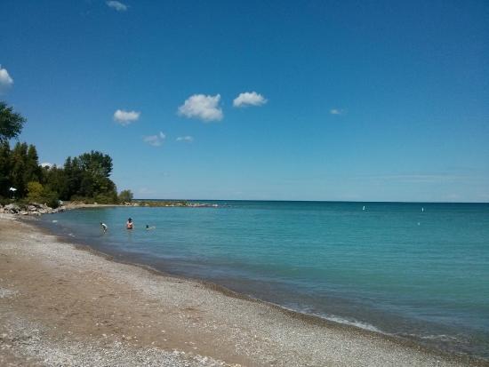 The Thornbury Harbour