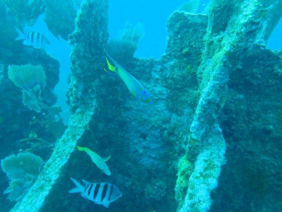 Benwood wreck