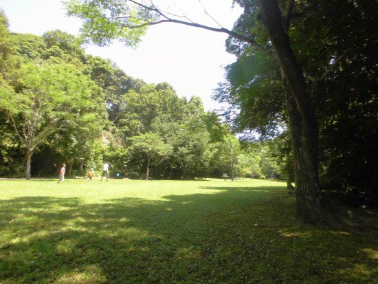 Miyazaki Museum of History and Culture