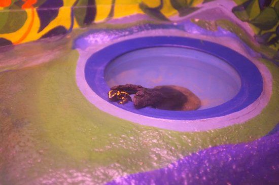 Centre Nature Les Cerlatez