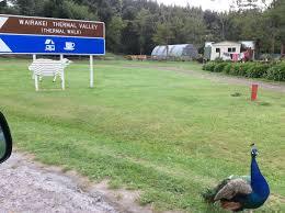 Wairakei Thermal Valley