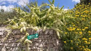 Pomona Gardens Botanical Conservatory