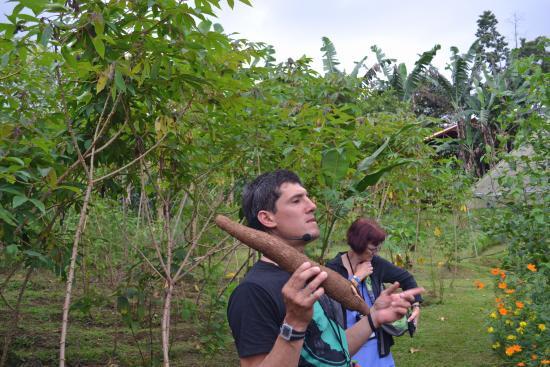 Arenal Vida Campesina