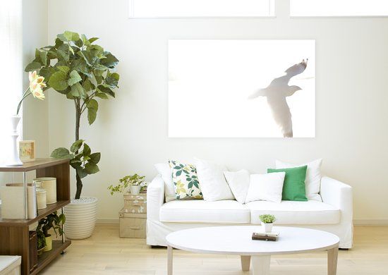 Joel Coleman Gallery