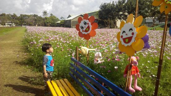 Nanzhou Sugar Factory