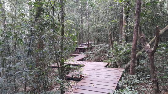 Dong Phayayen-Khao Yai Forest Complex