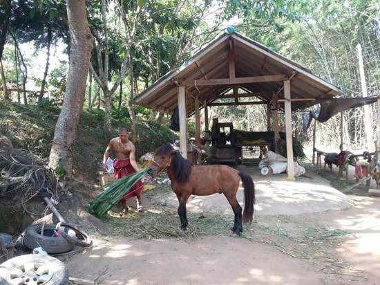 Wat Tham Pa Acha Thong